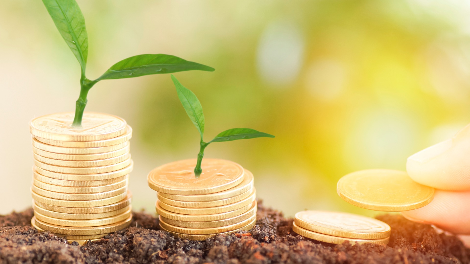 Inclusive & Sustainable Economic Growth