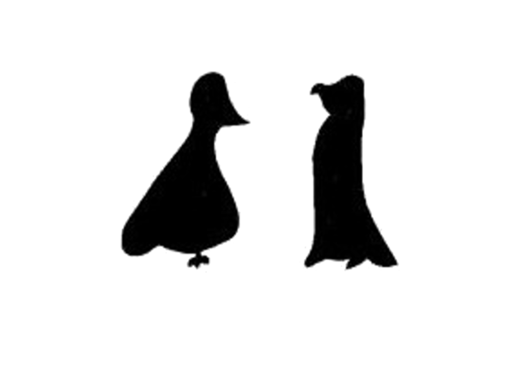 Pigeon Penguin