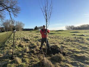 Roper Toxicology Consulting Tree Planting