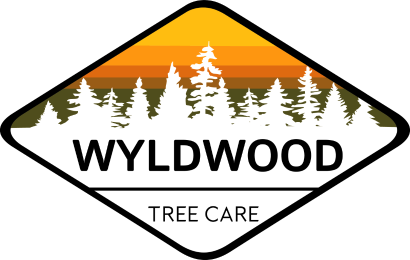 Wyldwood
